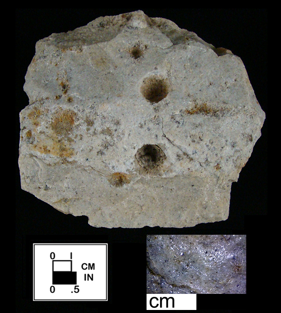 Silicified Sandstone, MD, Eastern Shore, Carol Ebright Collection.